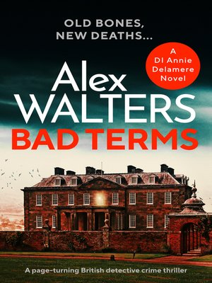 cover image of Bad Terms